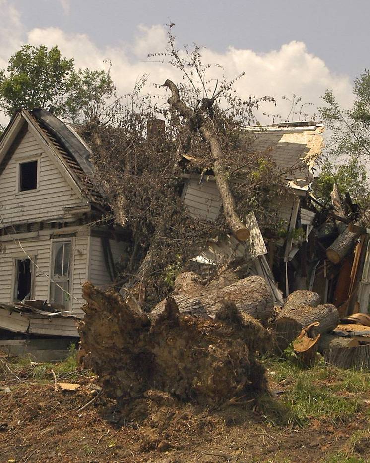 Wind-blown trees lying on a tornado-damaged house